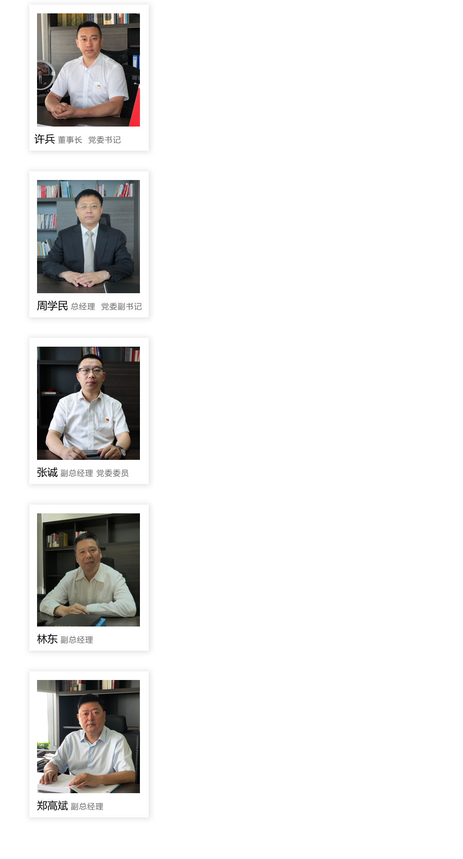 领导团队-放网站